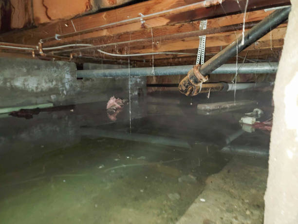 Best Emergency water extraction  in Williams, CA