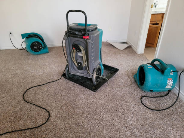 Best Water damage cleanup near me  in Williams, CA