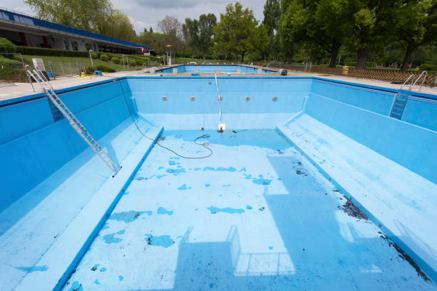 Best Professional water damage repair  in Williams, CA