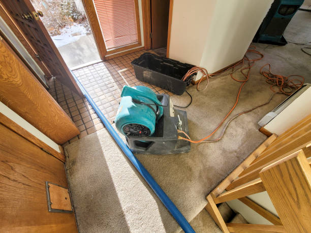 Professional Water damage restoration in CA
