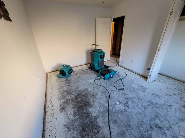 Best Water damage restoration specialists  in Williams, CA
