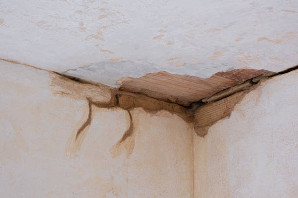 Best 24/7 water damage repair  in Williams, CA