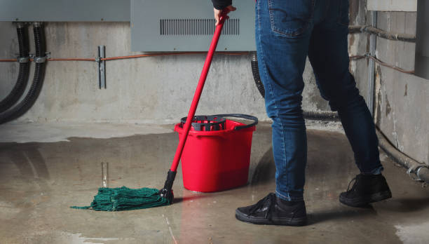 Best Carpet water damage restoration  in Williams, CA