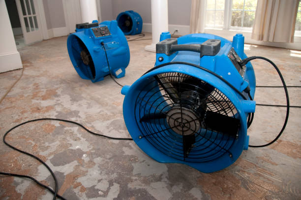 Best Water damage cleanup near me  in Williams, CA