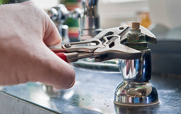Best Ceiling water damage repair  in Williams, CA