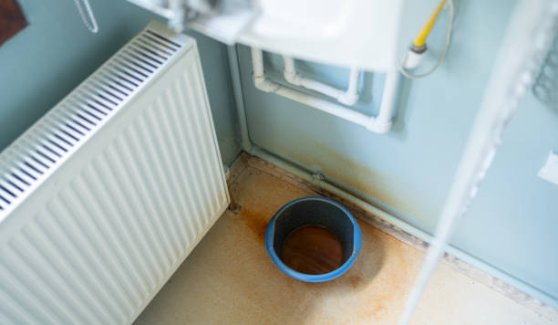 Williams, CA Water damage restoration Pros