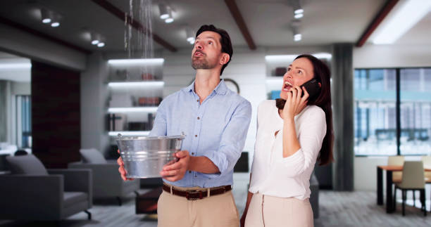 Best Water damage restoration services  in Williams, CA